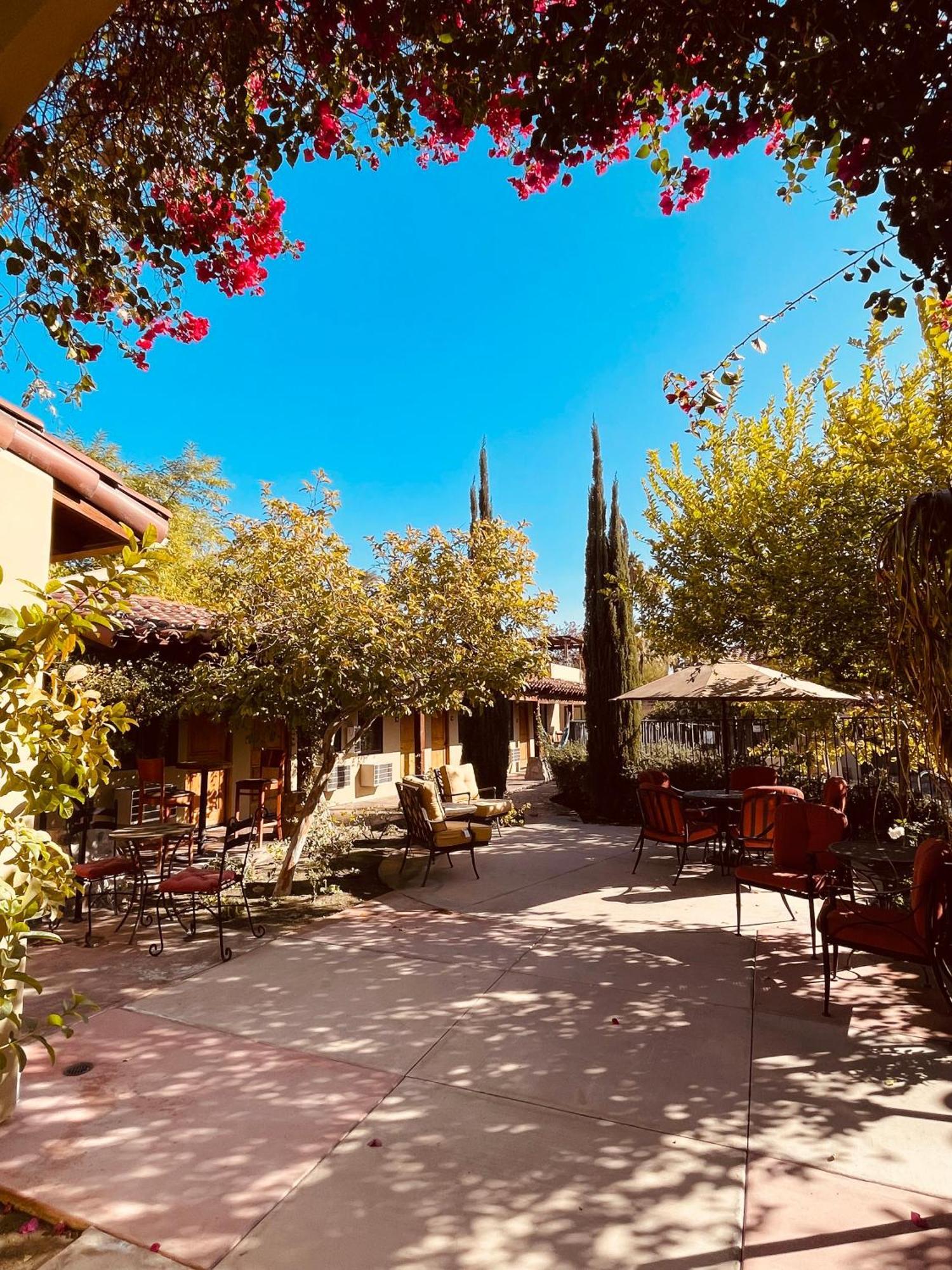 Los Arboles Hotel Παλμ Σπρινγκς Εξωτερικό φωτογραφία